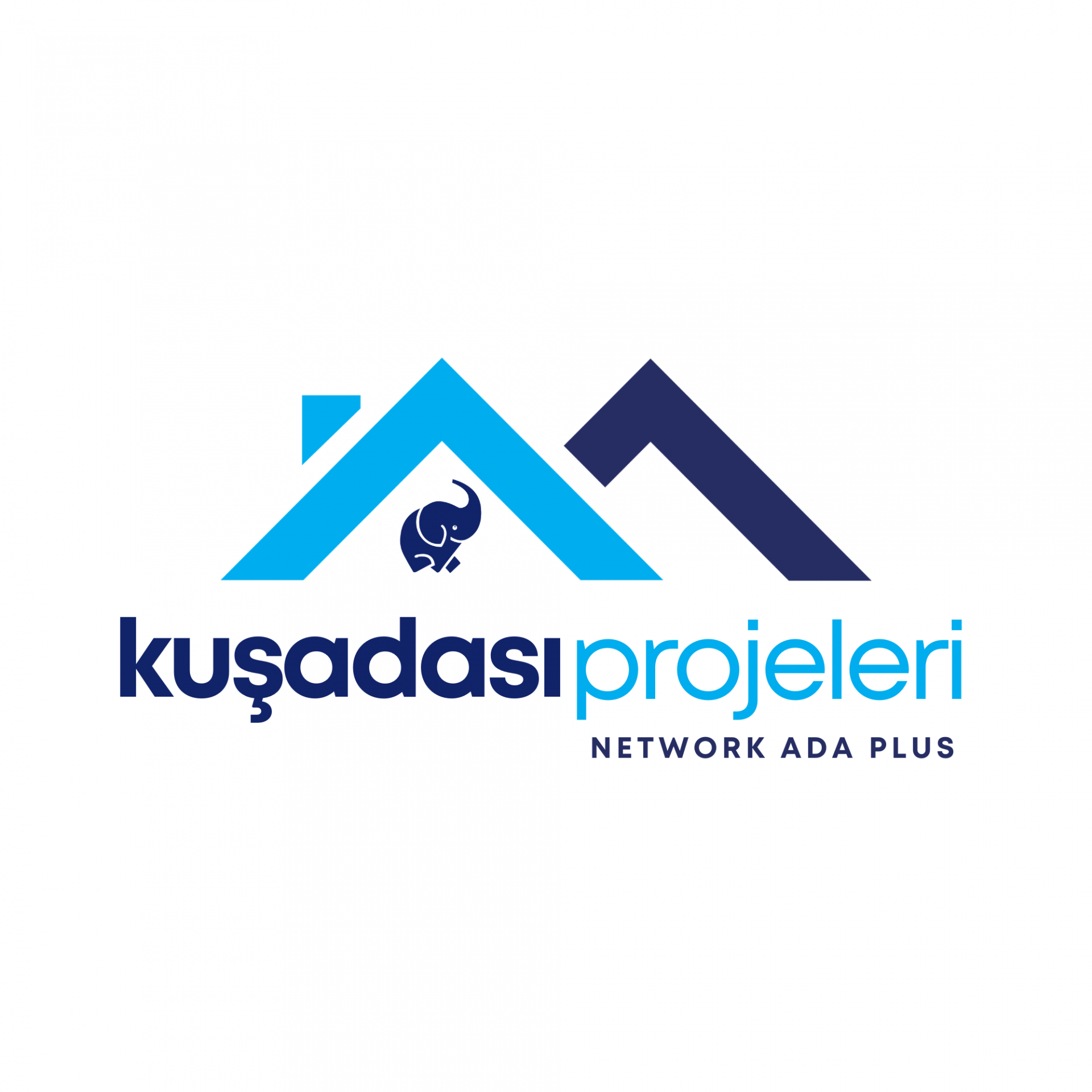 Proje Web Sitemiz Yayında